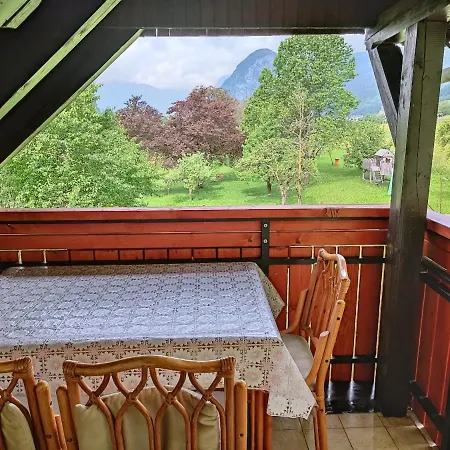 Apartmaji Hodak 3*