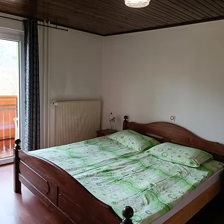 Apartmaji Hodak 3*