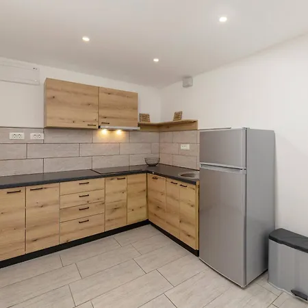 Apartmaji Hodak 招待所 博希尼