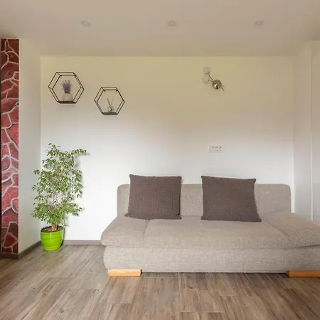 Apartmaji Hodak 3*