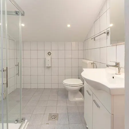 Apartmaji Hodak