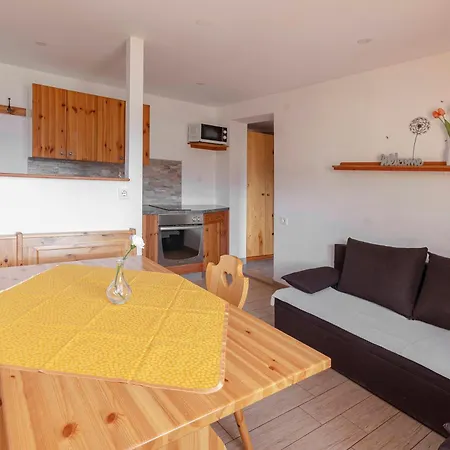 Apartmaji Hodak 招待所 3*