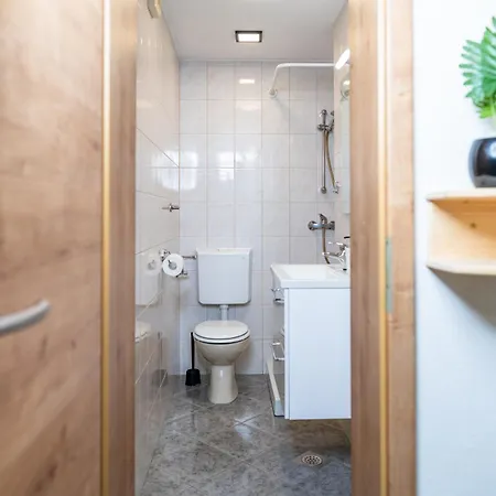 Apartmaji Hodak 3*