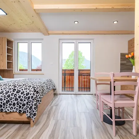 Apartmaji Hodak 博希尼