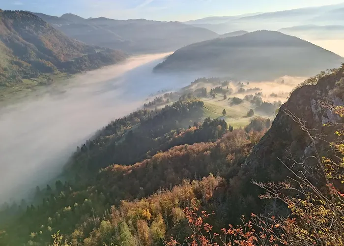 Apartmaji Hodak Guest house