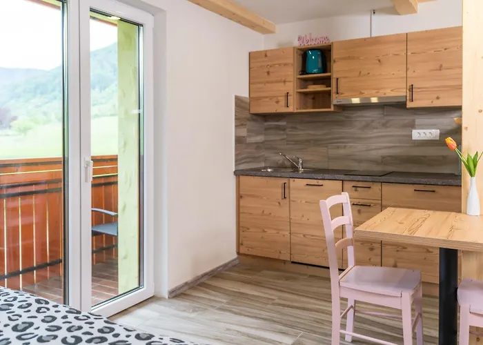 Guest house Apartmaji Hodak